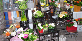Orchidées, compositions fleuries de qualités !
