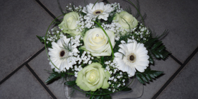 Bouquet de fleurs blanche